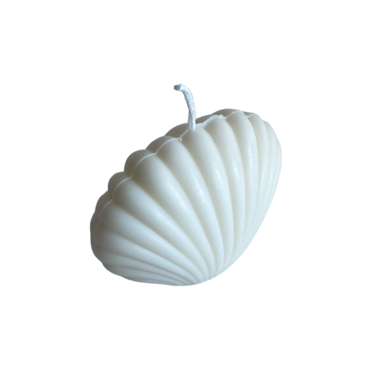 Shell Candle - White